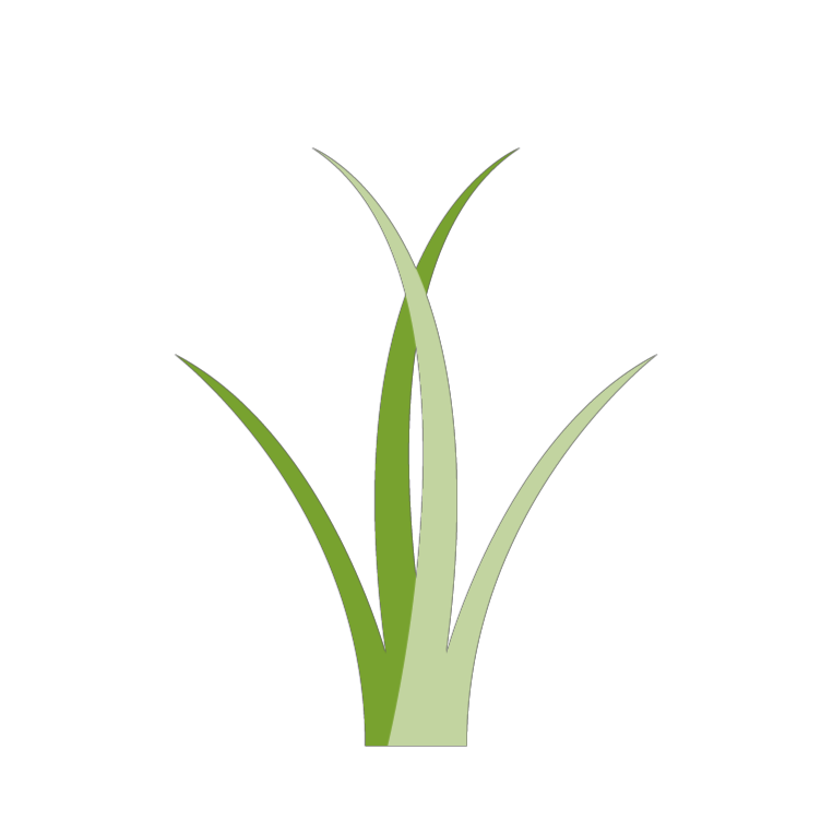 Sprig Wiregrass Logo